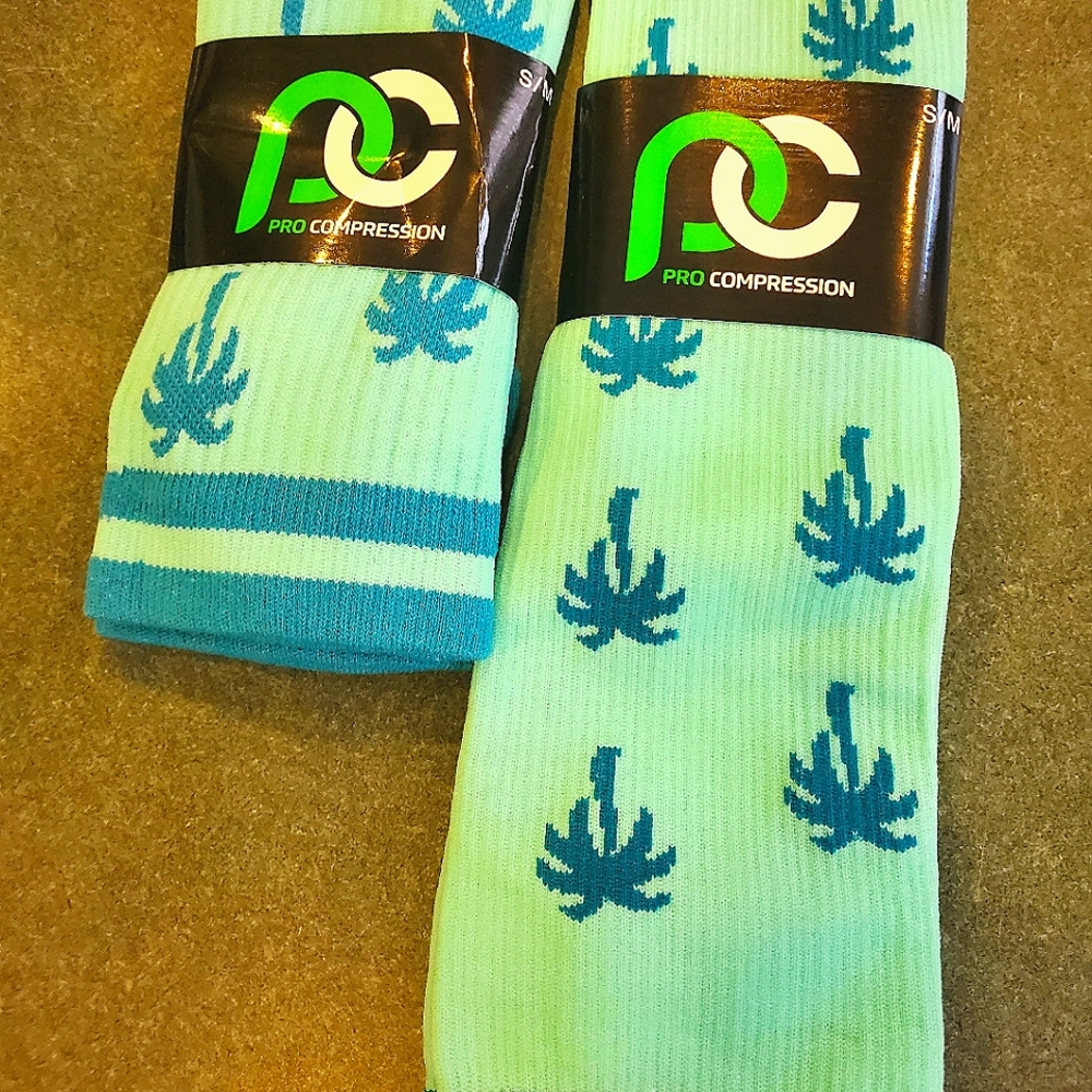 Palm Trees Pro Compression